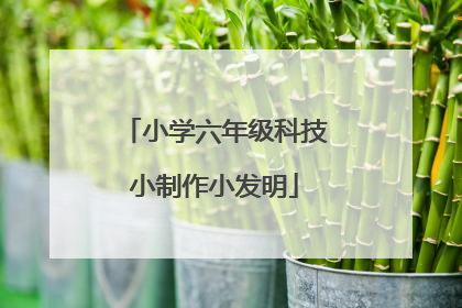 小学六年级科技小制作小发明