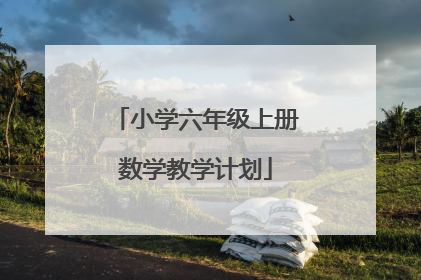 小学六年级上册数学教学计划