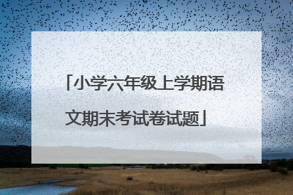小学六年级上学期语文期末考试卷试题