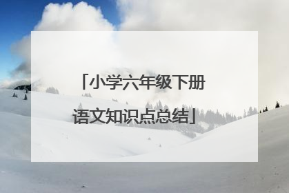 小学六年级下册语文知识点总结