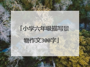 小学六年级描写景物作文300字