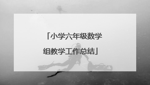 小学六年级数学组教学工作总结