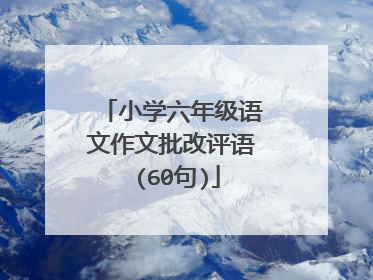 小学六年级语文作文批改评语 (60句)