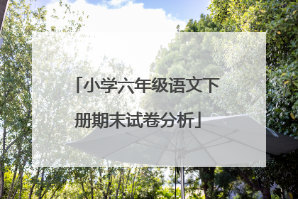 小学六年级语文下册期末试卷分析
