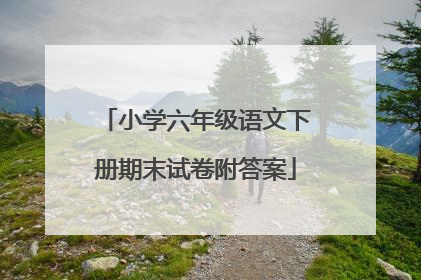 小学六年级语文下册期末试卷附答案