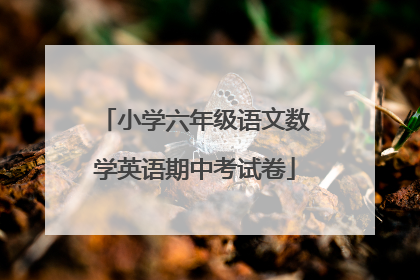 小学六年级语文数学英语期中考试卷