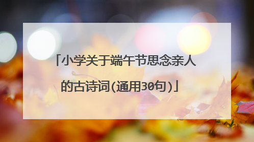 小学关于端午节思念亲人的古诗词(通用30句)