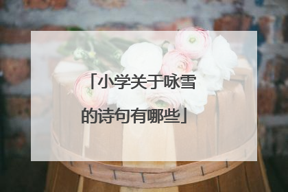 小学关于咏雪的诗句有哪些