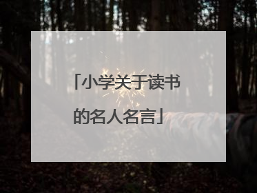 小学关于读书的名人名言