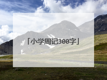 小学周记300字