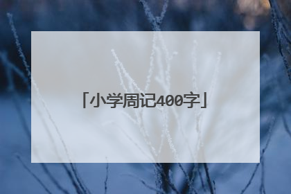 小学周记400字