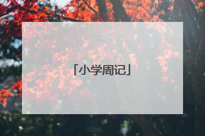 小学周记