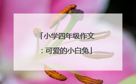 小学四年级作文:可爱的小白兔