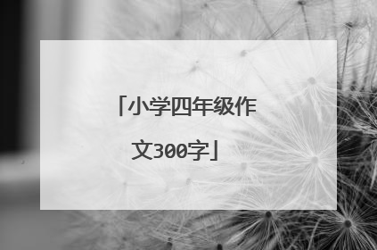 小学四年级作文300字