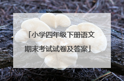 小学四年级下册语文期末考试试卷及答案