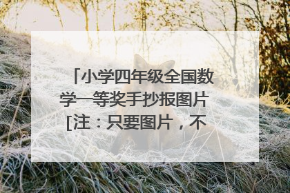 小学四年级全国数学一等奖手抄报图片[注：只要图片，不要文字，请注意]