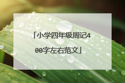 小学四年级周记400字左右范文