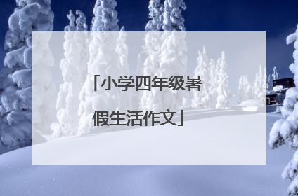 小学四年级暑假生活作文