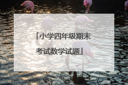 小学四年级期末考试数学试题