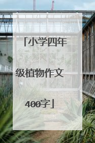 小学四年级植物作文400字