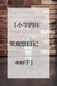 小学四年级观察日记400字