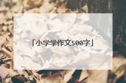 小学学作文500字