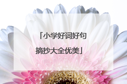 小学好词好句摘抄大全优美