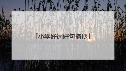 小学好词好句摘抄