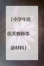 小学年度优秀教师事迹材料