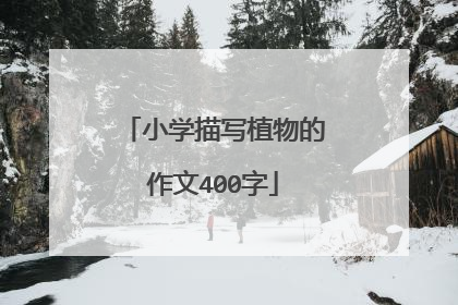 小学描写植物的作文400字