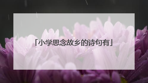 小学思念故乡的诗句有