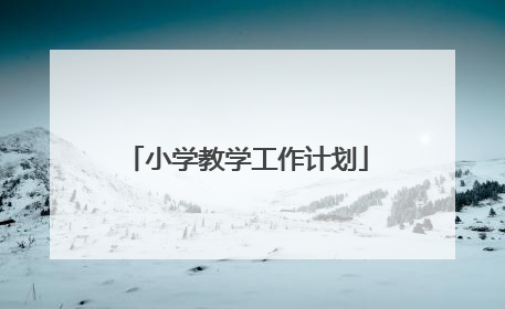 小学教学工作计划