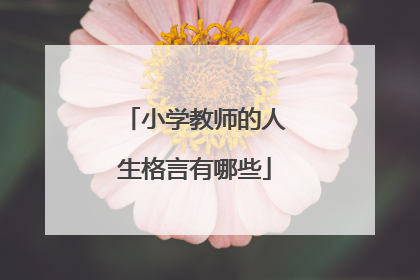 小学教师的人生格言有哪些