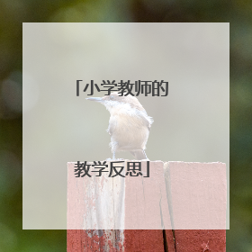 小学教师的教学反思
