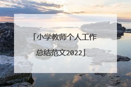 小学教师个人工作总结范文2022
