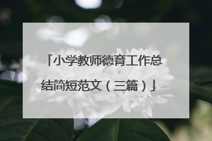 小学教师德育工作总结简短范文(三篇)