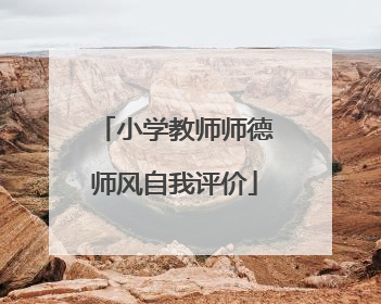 小学教师师德师风自我评价