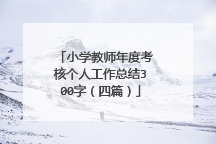 小学教师年度考核个人工作总结300字（四篇）
