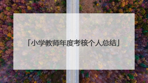 小学教师年度考核个人总结