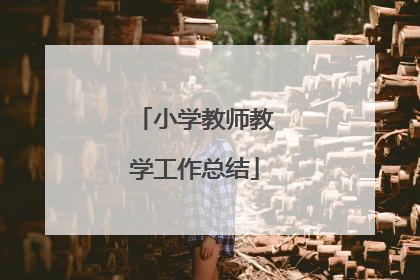 小学教师教学工作总结