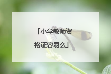 小学教师资格证容易么