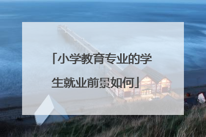 小学教育专业的学生就业前景如何