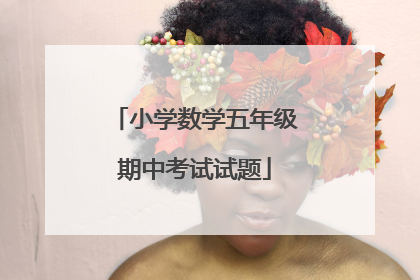 小学数学五年级期中考试试题