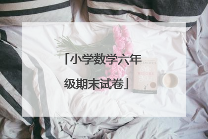 小学数学六年级期末试卷