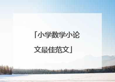 小学数学小论文最佳范文