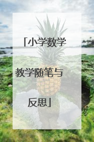 小学数学教学随笔与反思
