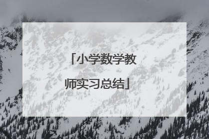 小学数学教师实习总结