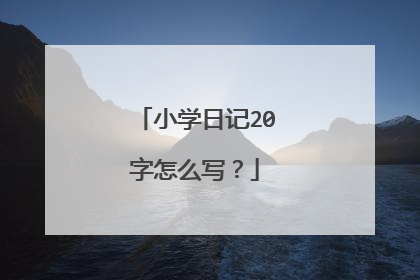 小学日记20字怎么写?