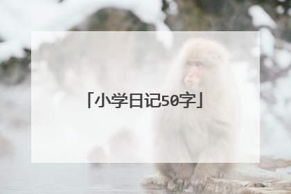 小学日记50字