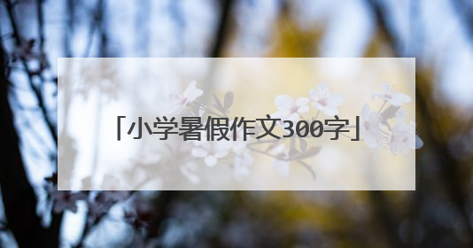 小学暑假作文300字